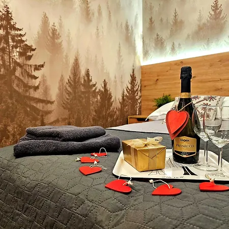 Lejlighed Ostoja Beskidy