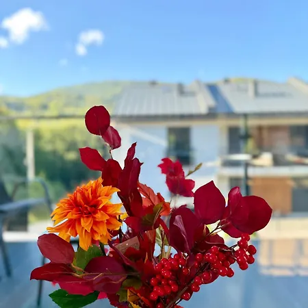 Apartament Ostoja Beskidy Szczyrk