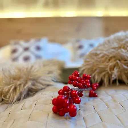 Ostoja Beskidy Apartament