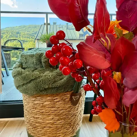 Apartament Ostoja Beskidy Szczyrk