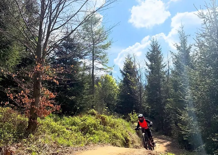 Apartment Ostoja Beskidy Szczyrk